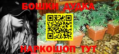 шишки Славгород