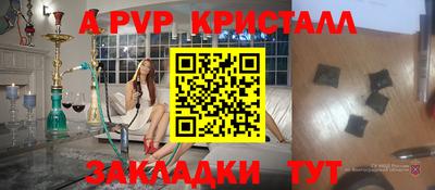 шишки Славгород