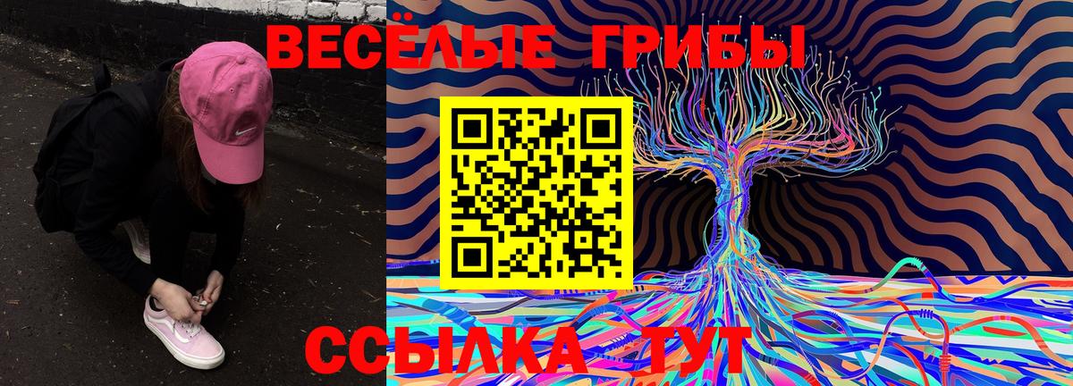 Гай  продажа наркотиков  Вход с VPN  Галлюциногенные грибы Psilocybine cubensis 